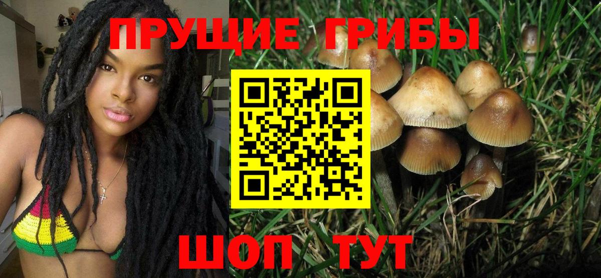 Псилоцибиновые грибы прущие грибы Тверь